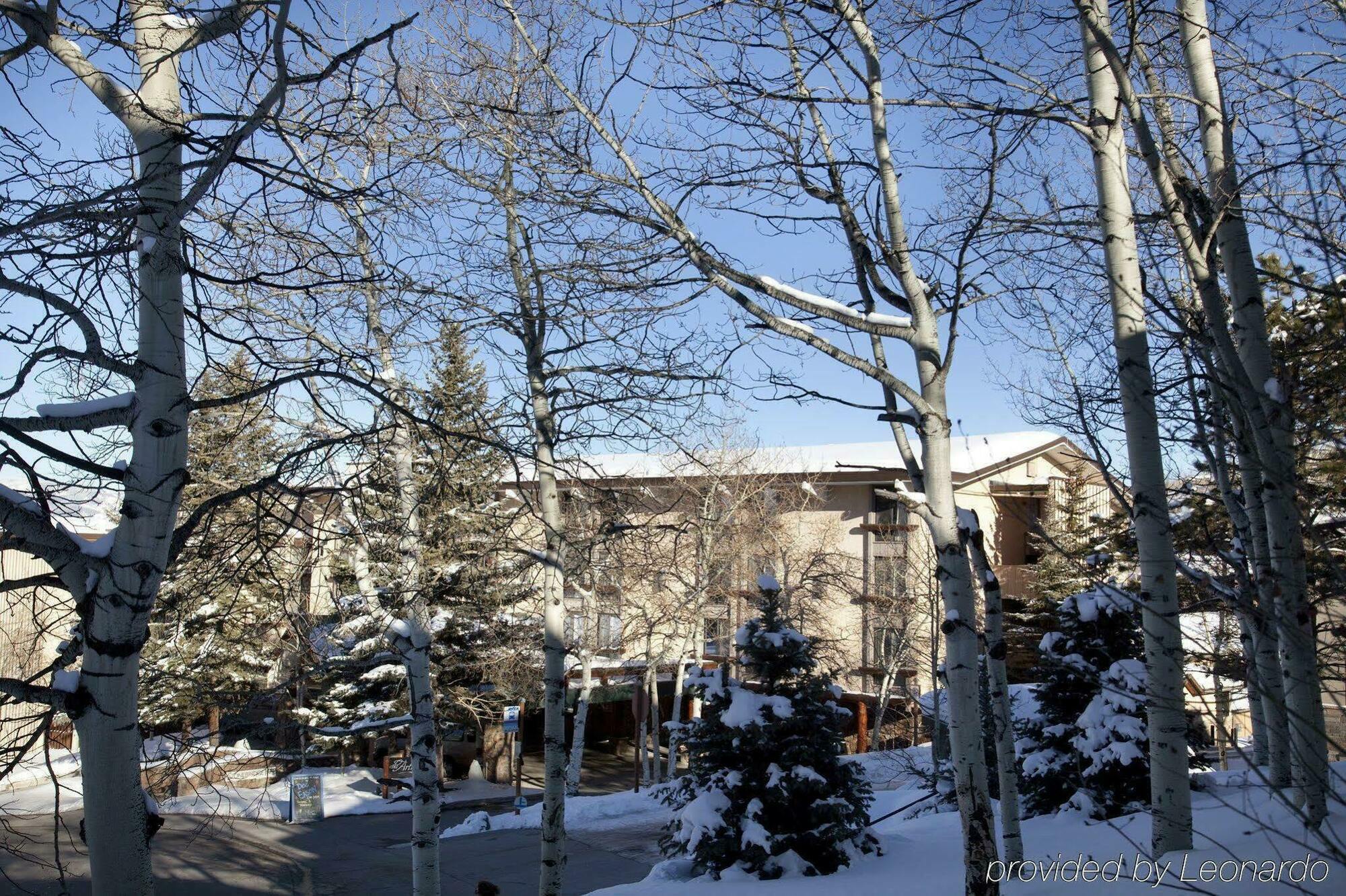Tamarack Townhomes - Coraltree Residence Collection Snowmass Village Exteriér fotografie